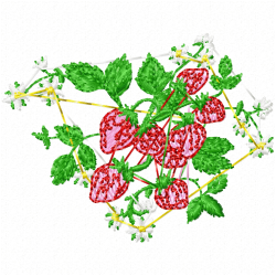 Flowers Embroidery Design 2